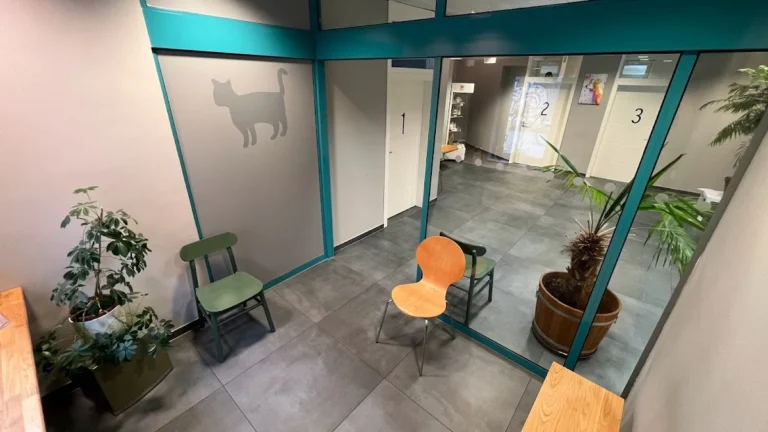 Tierarztpraxis im Steintor