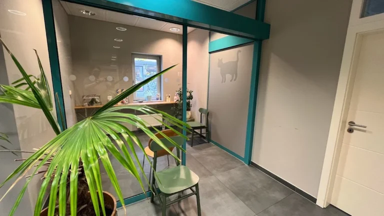 Tierarztpraxis im Steintor