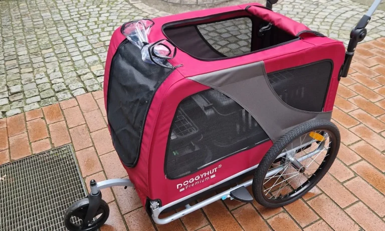 Tierarztpraxis im Steintor