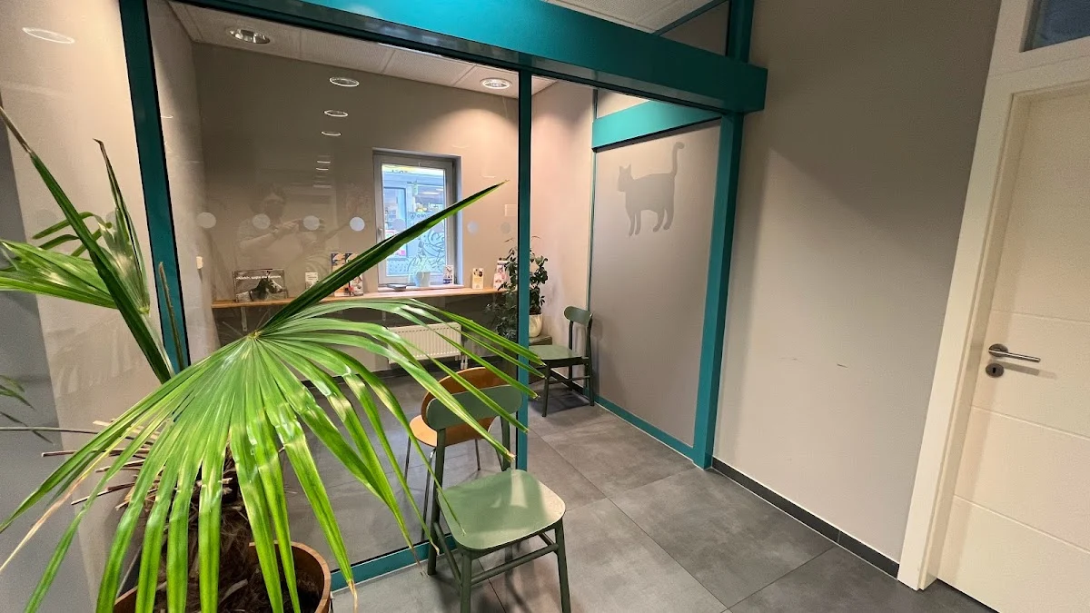 Tierarzt Tierarztpraxis im Steintor Bremen