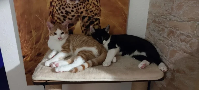 Tierarztpraxis in der Ruhrau / Frank Höfel