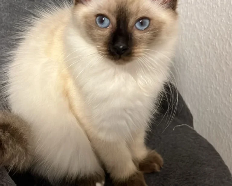 Tierarztpraxis in der Ruhrau / Frank Höfel