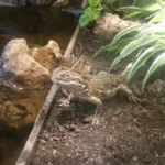 Tierarztpraxis Itkina