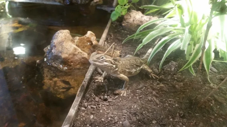 Tierarztpraxis Itkina