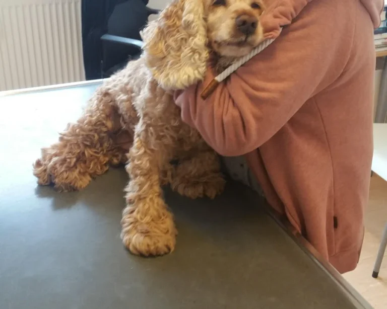 Tierarztpraxis Itkina