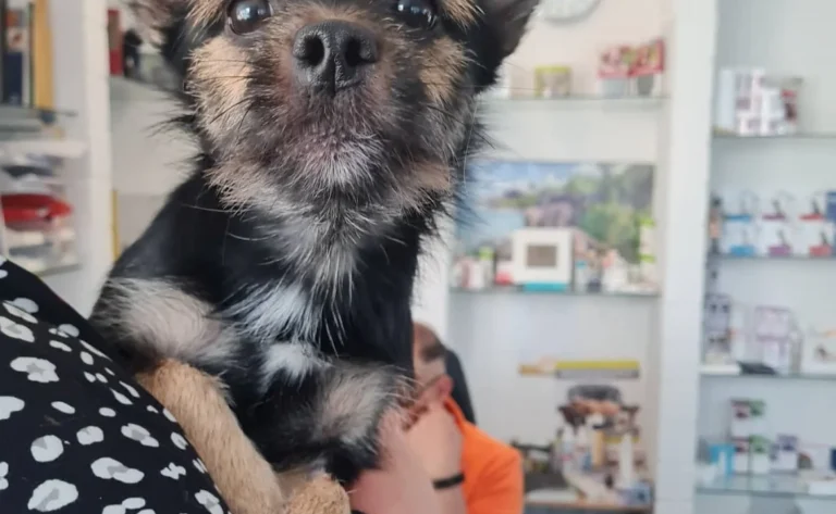 Tierarztpraxis Jonas in Misburg