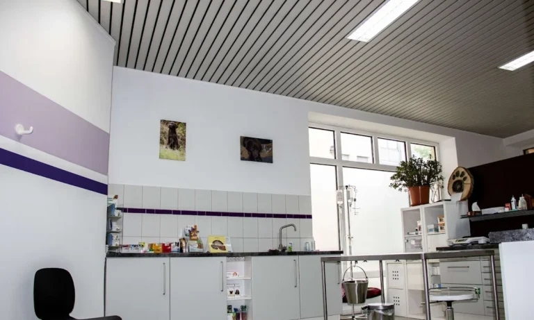 Tierarztpraxis Julia Rottler