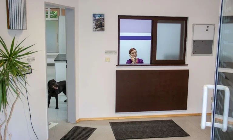 Tierarztpraxis Julia Rottler