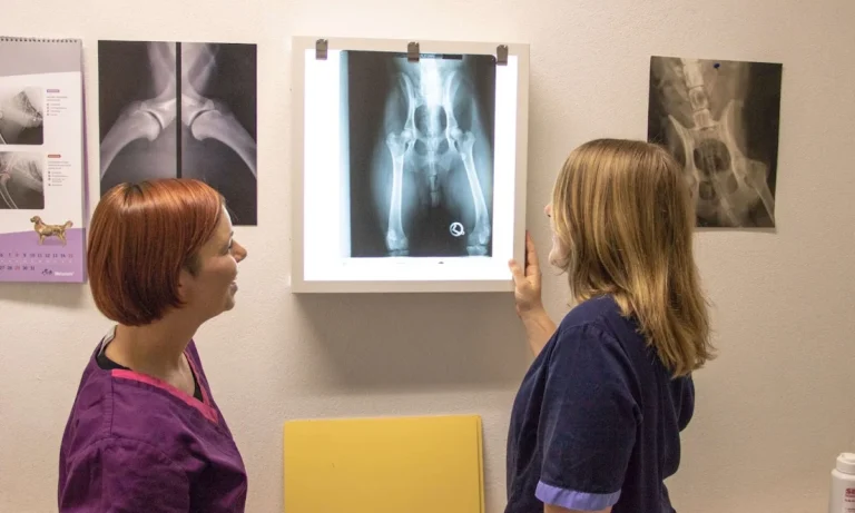 Tierarztpraxis Julia Rottler