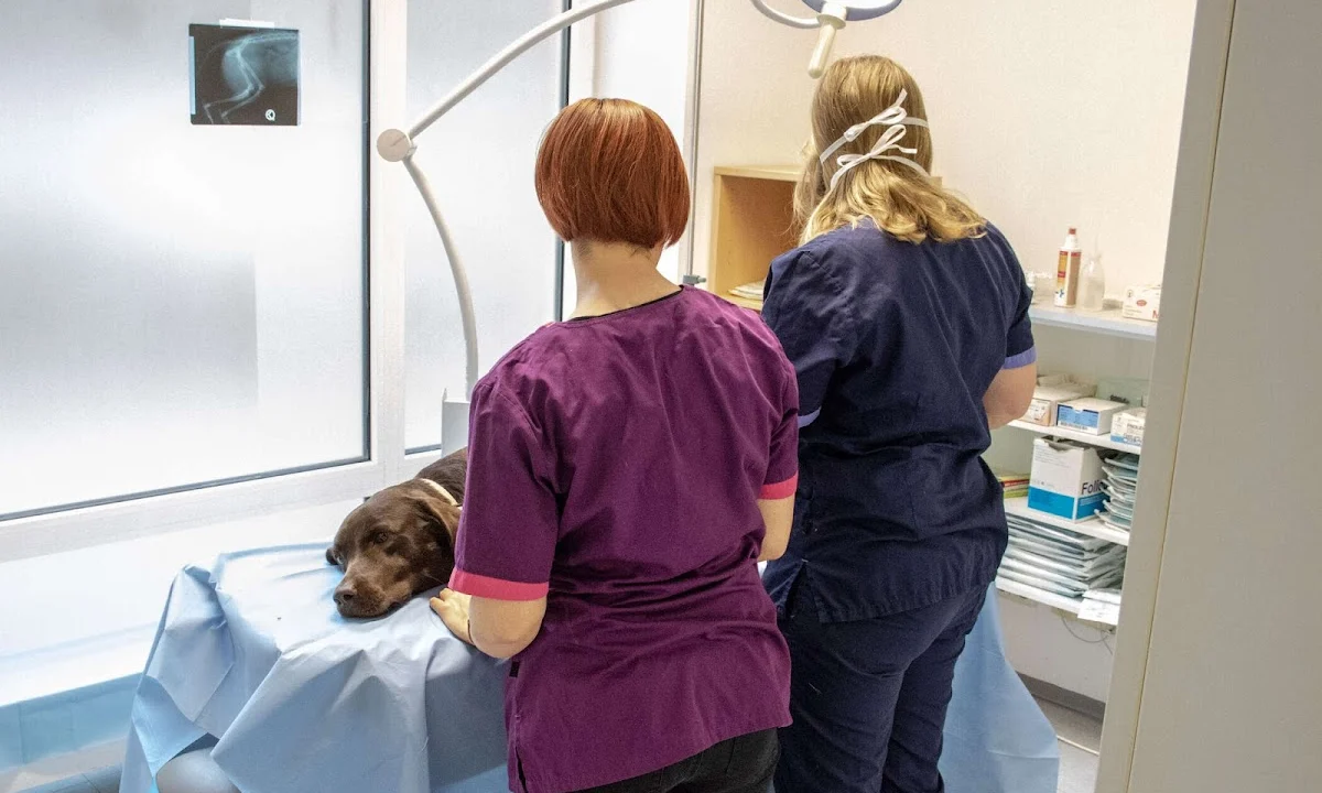 Tierarzt Tierarztpraxis Julia Rottler Regensburg