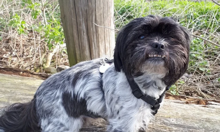 Tierarztpraxis Kaltenbrunn