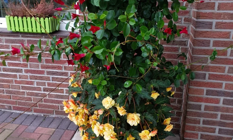 Tierarztpraxis Kaltenbrunn