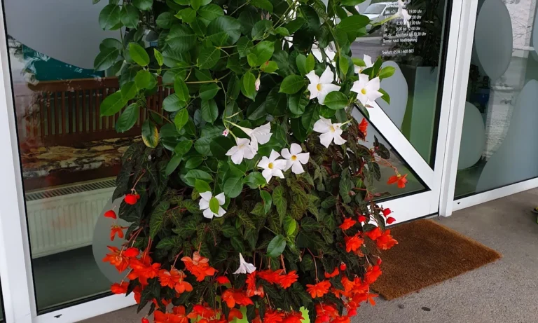 Tierarztpraxis Kaltenbrunn