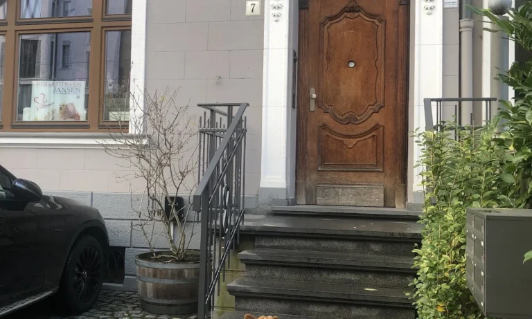 Tierarztpraxis Katrin Jansen