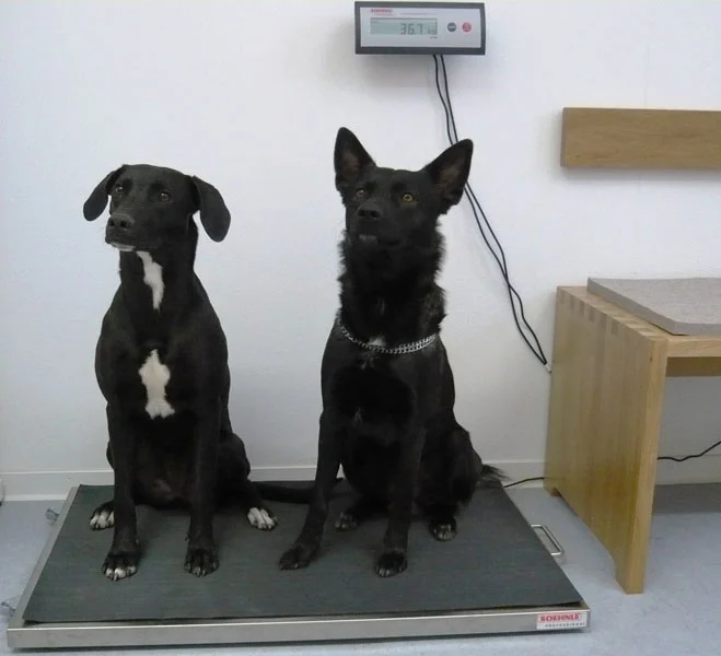 Tierarztpraxis Kirchtrudering