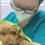 Tierarztpraxis Kolonnadenviertel