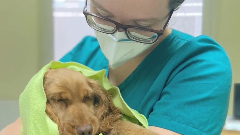 Tierarztpraxis Kolonnadenviertel