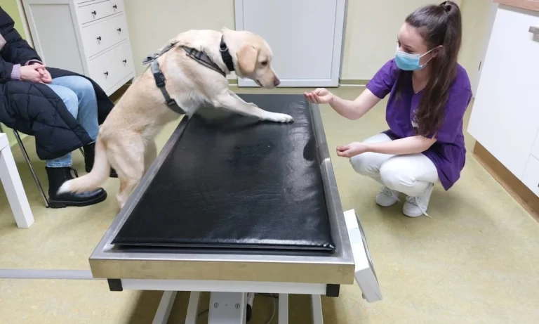 Tierarztpraxis Kolonnadenviertel