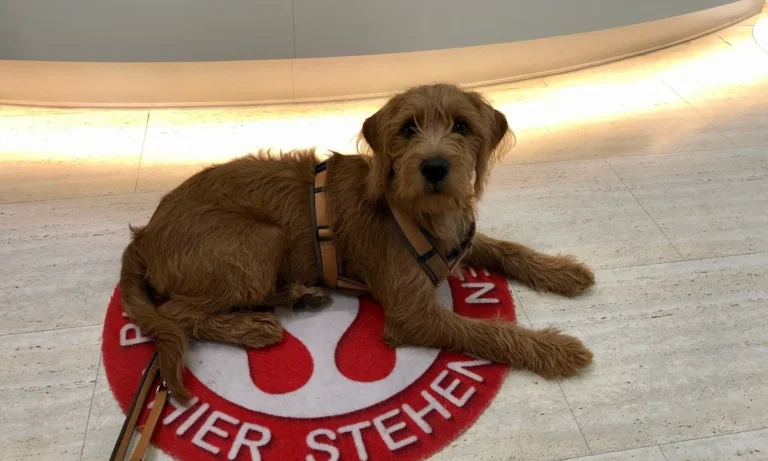 Tierarztpraxis Korek