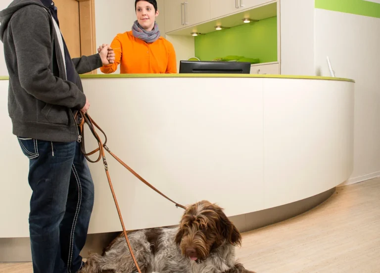 Tierarztpraxis Korek