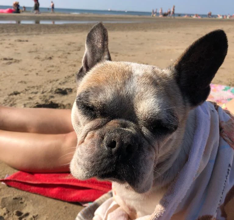 Tierarztpraxis Küppenbender