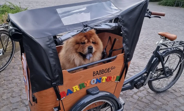 Tierarztpraxis Küppenbender