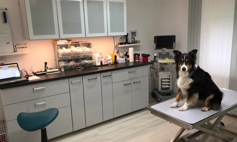 Tierarztpraxis Küppenbender