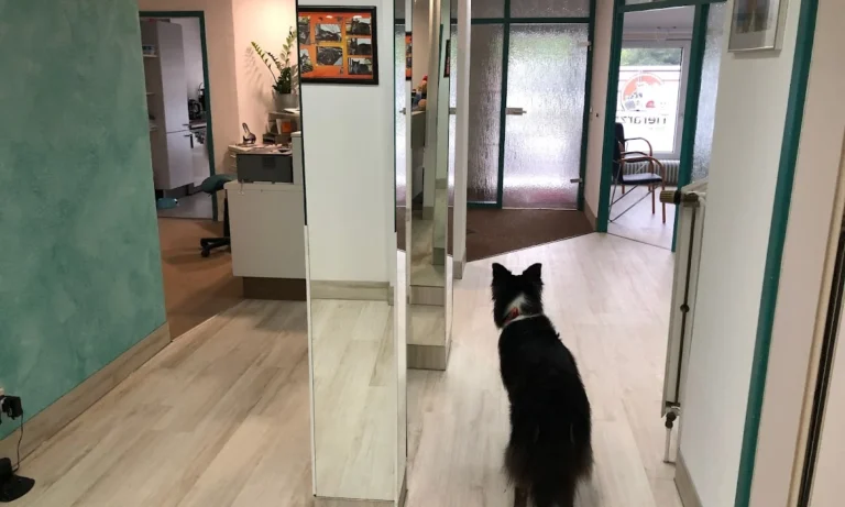 Tierarztpraxis Küppenbender