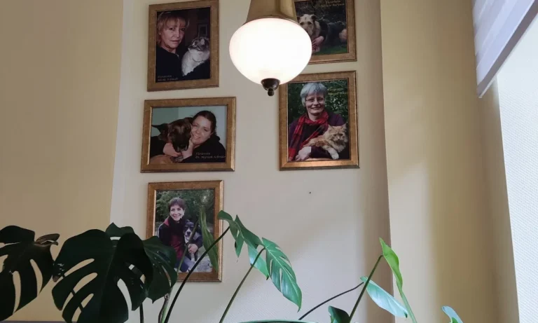 Tierarztpraxis Liegnitzer