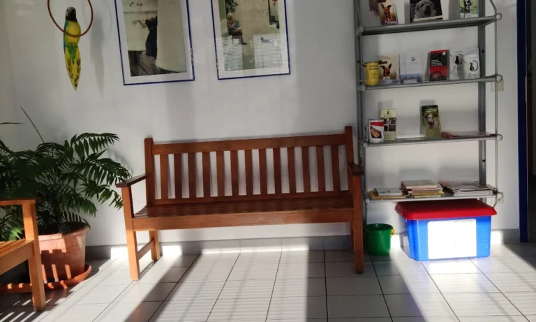 Tierarztpraxis Matthias Brühl