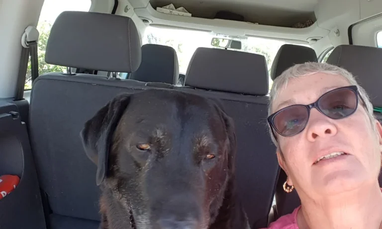 Tierarztpraxis Müller für Pferde & Kleintiere