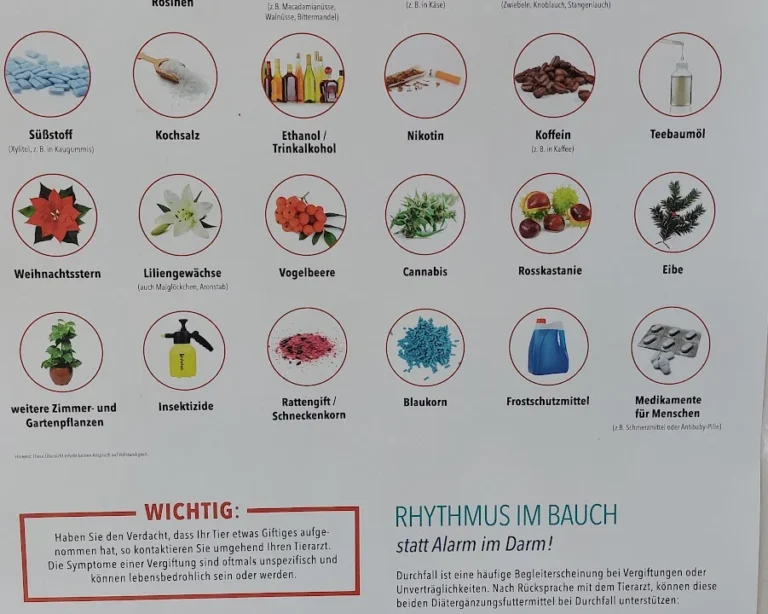 Tierarztpraxis Müller für Pferde & Kleintiere