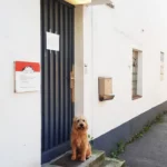 Tierarztpraxis Ottensen