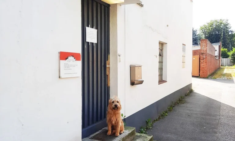 Tierarztpraxis Ottensen