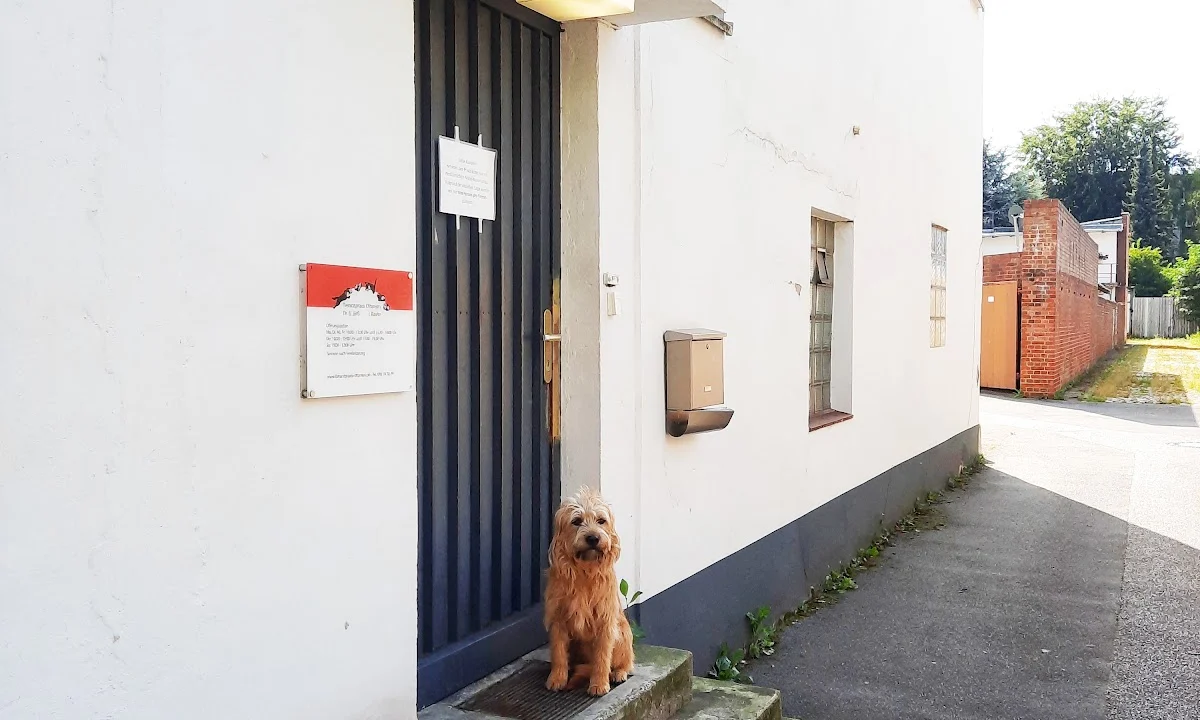 Tierarzt Tierarztpraxis Ottensen Hamburg