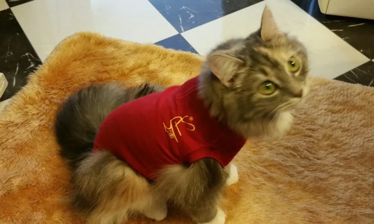 Tierarztpraxis Paarmann