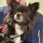 Tierarztpraxis Paarmann