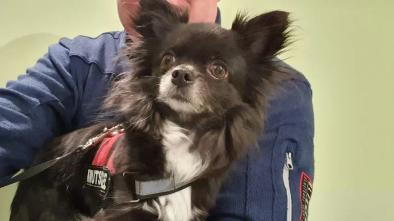 Tierarztpraxis Paarmann