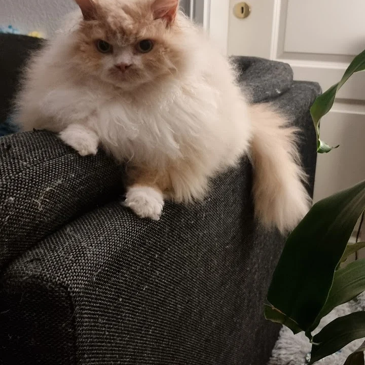 Tierarztpraxis Paarmann