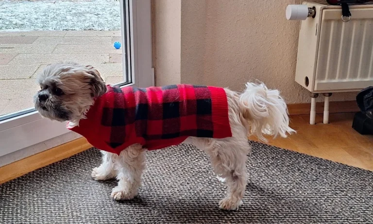 Tierarztpraxis Petra Morlock