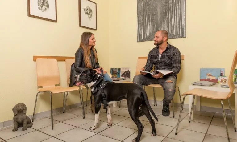 Tierarztpraxis Petra Scheunert