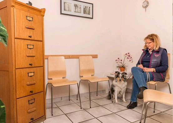 Tierarztpraxis Petra Scheunert