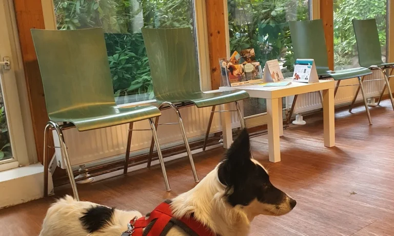 Tierarztpraxis Poppenbüttel Julia Stadelmann & Anne Skuballa