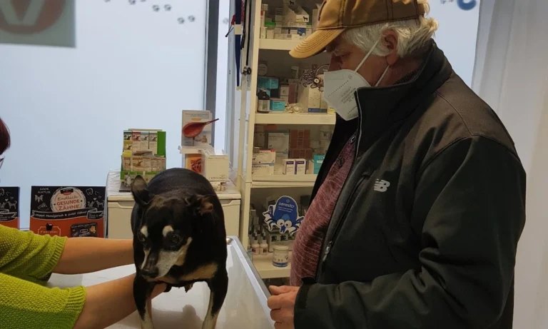 Tierarztpraxis prakt.Tierärztin Julia Bator