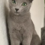 Tierarztpraxis Schlupp Dr.med.vet.