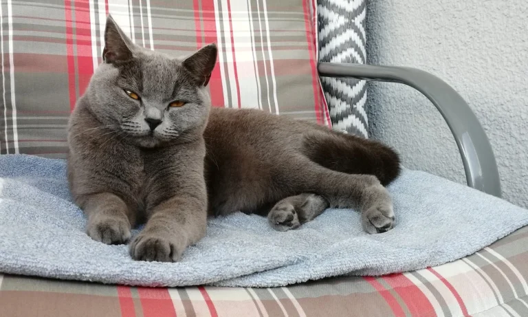 Tierarztpraxis Schlupp Dr.med.vet.