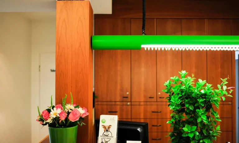 Tierarztpraxis Schwachhausen Dr. Kellermeier