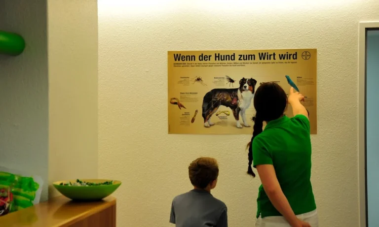 Tierarztpraxis Schwachhausen Dr. Kellermeier