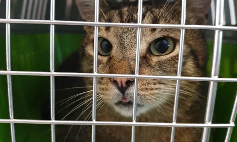 Tierarztpraxis Siegen Eiserfeld