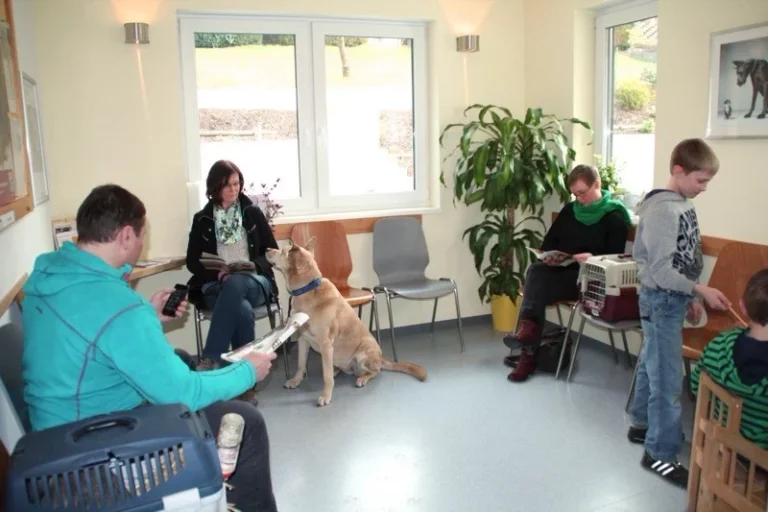 Tierarztpraxis Siegen Eiserfeld